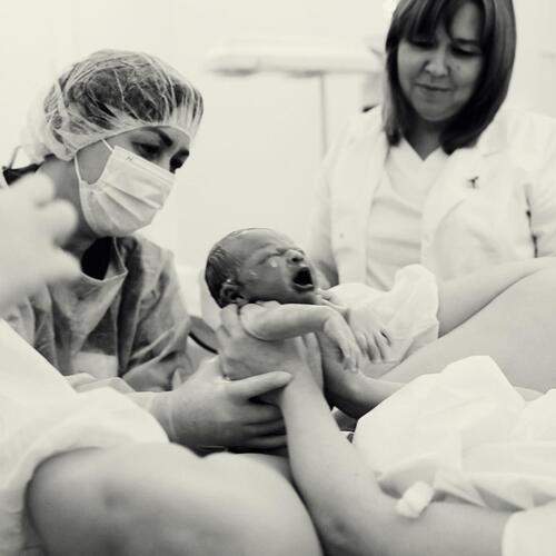 Фотография #13324278