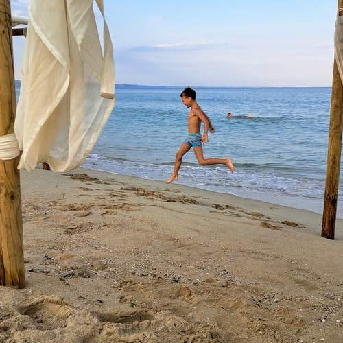Photo #13324319