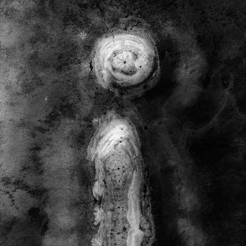 Фотография #13324370