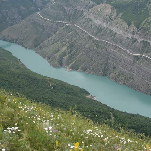 Photo #13324440