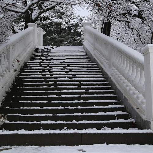 Photo #13324510