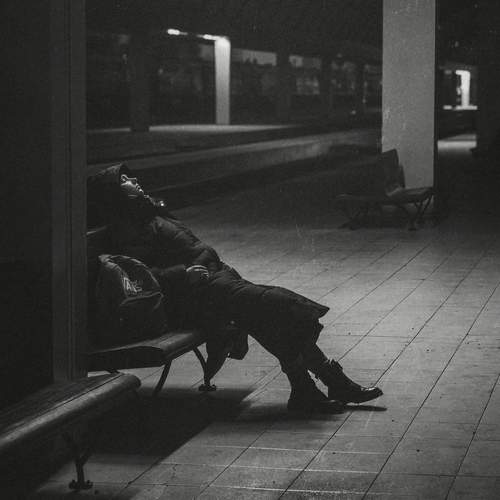 Photo #13324556