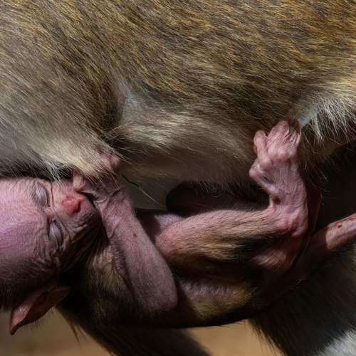Photo #13324581
