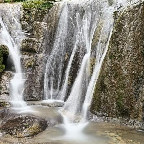 Photo #13324666