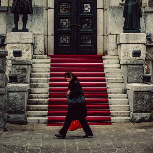Photo #13324693