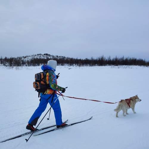 Photo #13324722