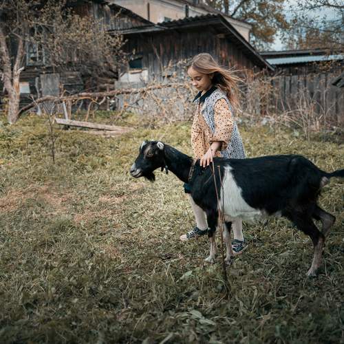 Photo #13324901