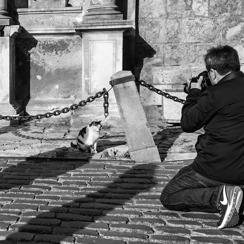 Фотомодель