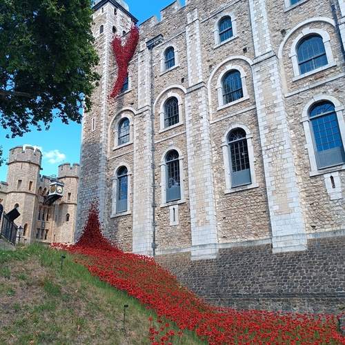 Photo #13325107