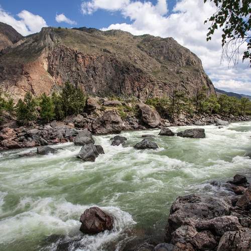 Photo #13325169