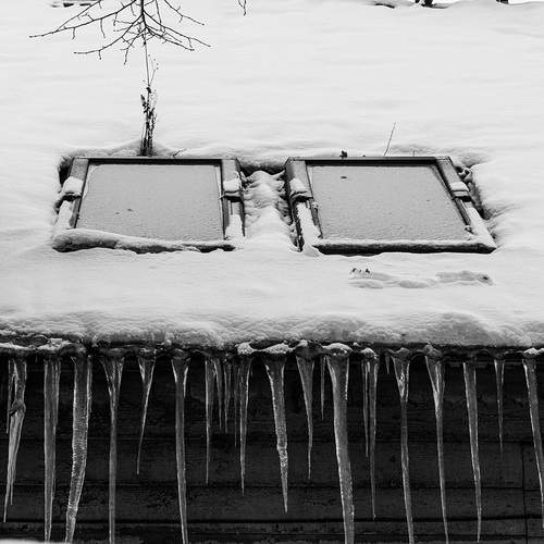 Photo #13325270