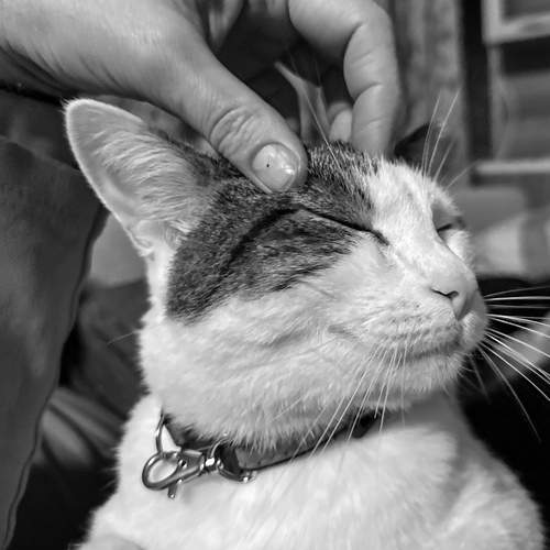 Что такое любовь