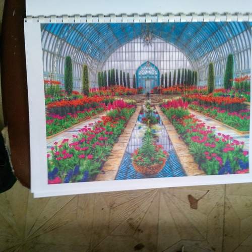 Photo #13325548