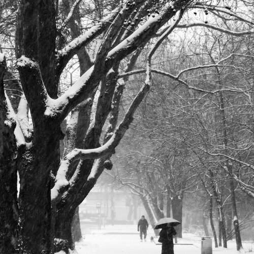 Photo #13325641