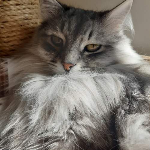 Photo #13325671