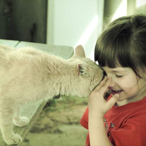 Photo #13325969