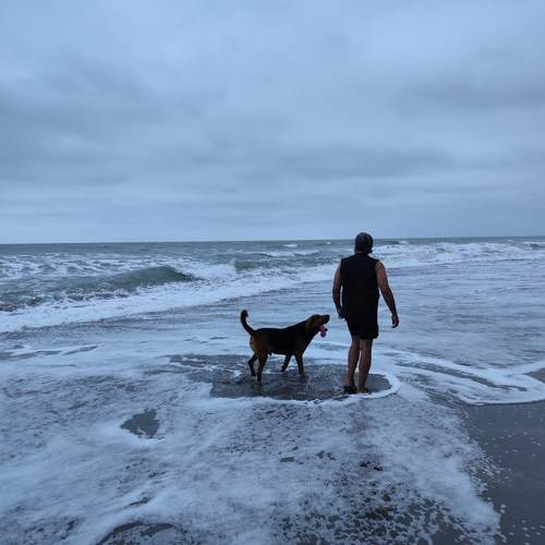 Photo #13326044