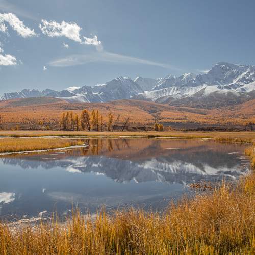 Photo #13326069