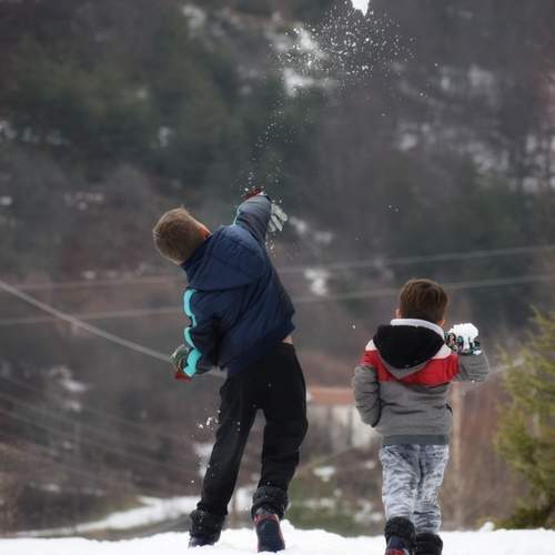 Photo #13326235