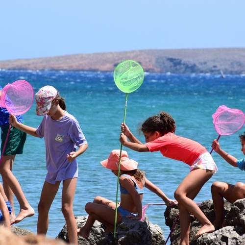 Photo #13326251
