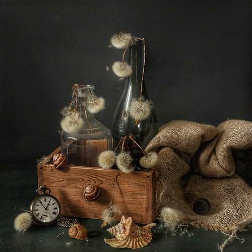 Фотография #13326321