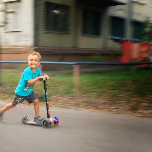 Photo #13326466
