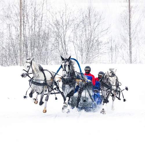 Photo #13326831