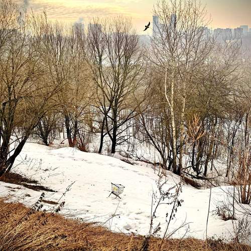 Photo #13326891