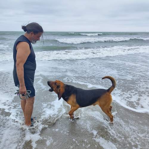 Photo #13326938