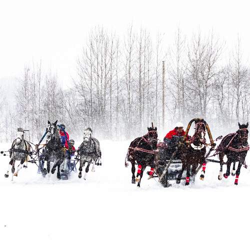 Photo #13326950