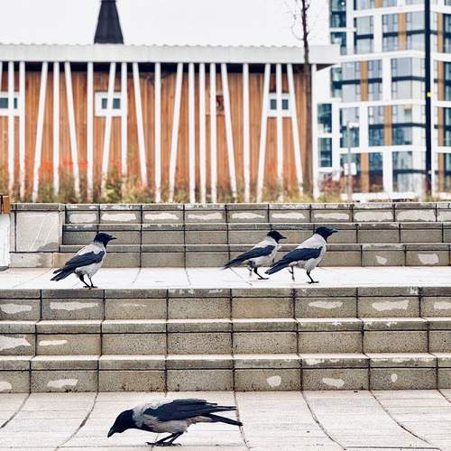 Photo #13326962
