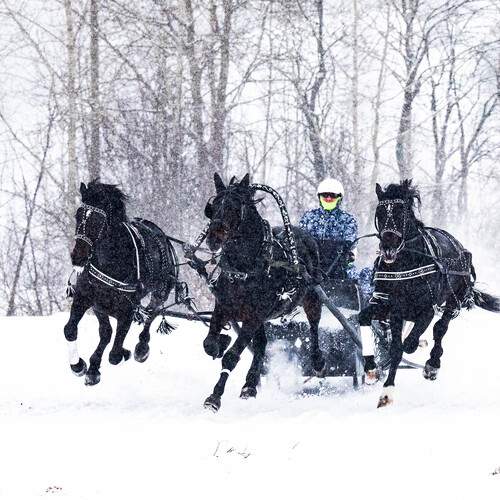 Photo #13327359
