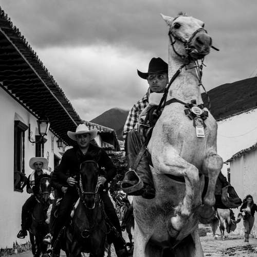 Photo #13327463