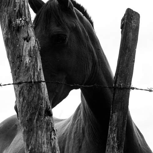 Photo #13327480