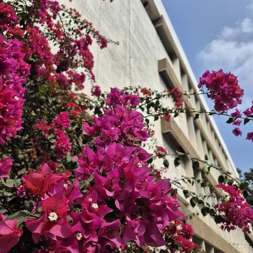 Photo #13327493