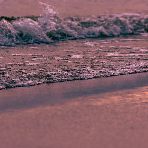 Photo #13327495