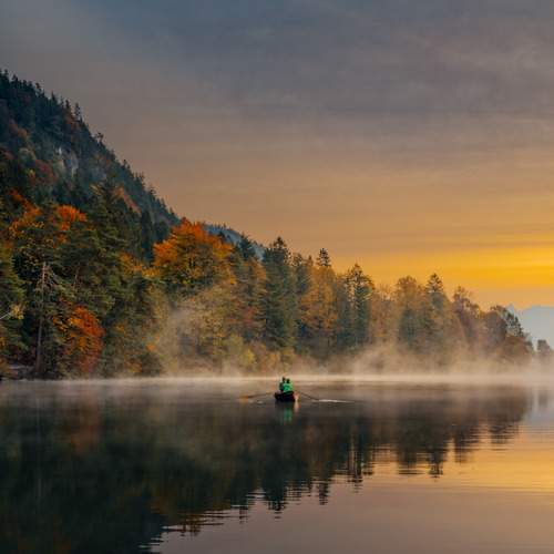 Photo #13327612