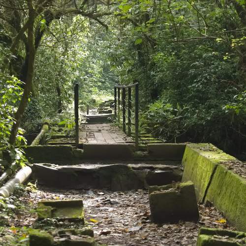 Puente de un sendero de Horco Molle
