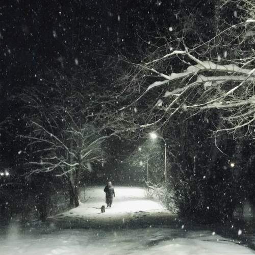 Photo #13327737