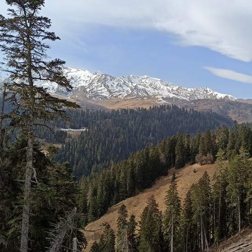 Photo #13327899