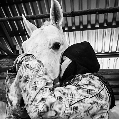 Photo #13327925