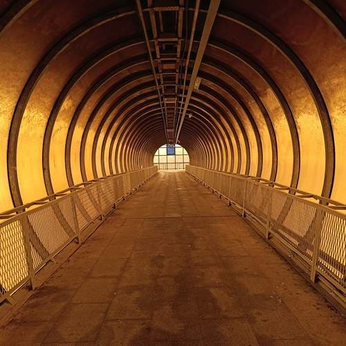 Photo #13328030