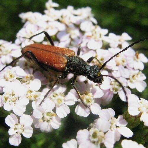 Photo #13328053