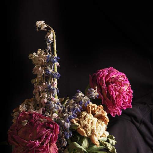 Увядающие цветы и некто