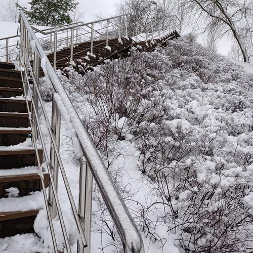 Photo #13328091