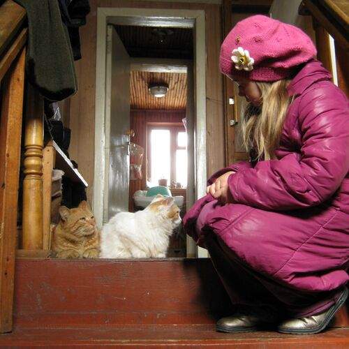 Photo #13328177