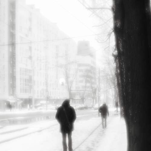 Photo #13328318