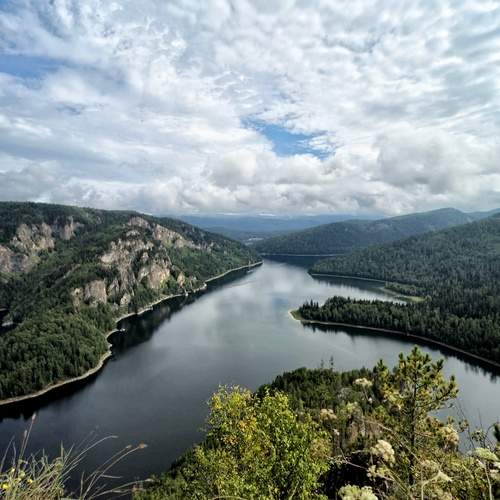 Photo #13328490