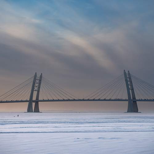 Photo #13328563