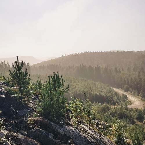 Photo #13328592